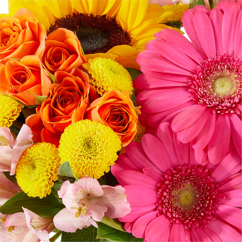 Beach Day Bouquet –  Day Dream Bokay Llc, Jonesborough TN