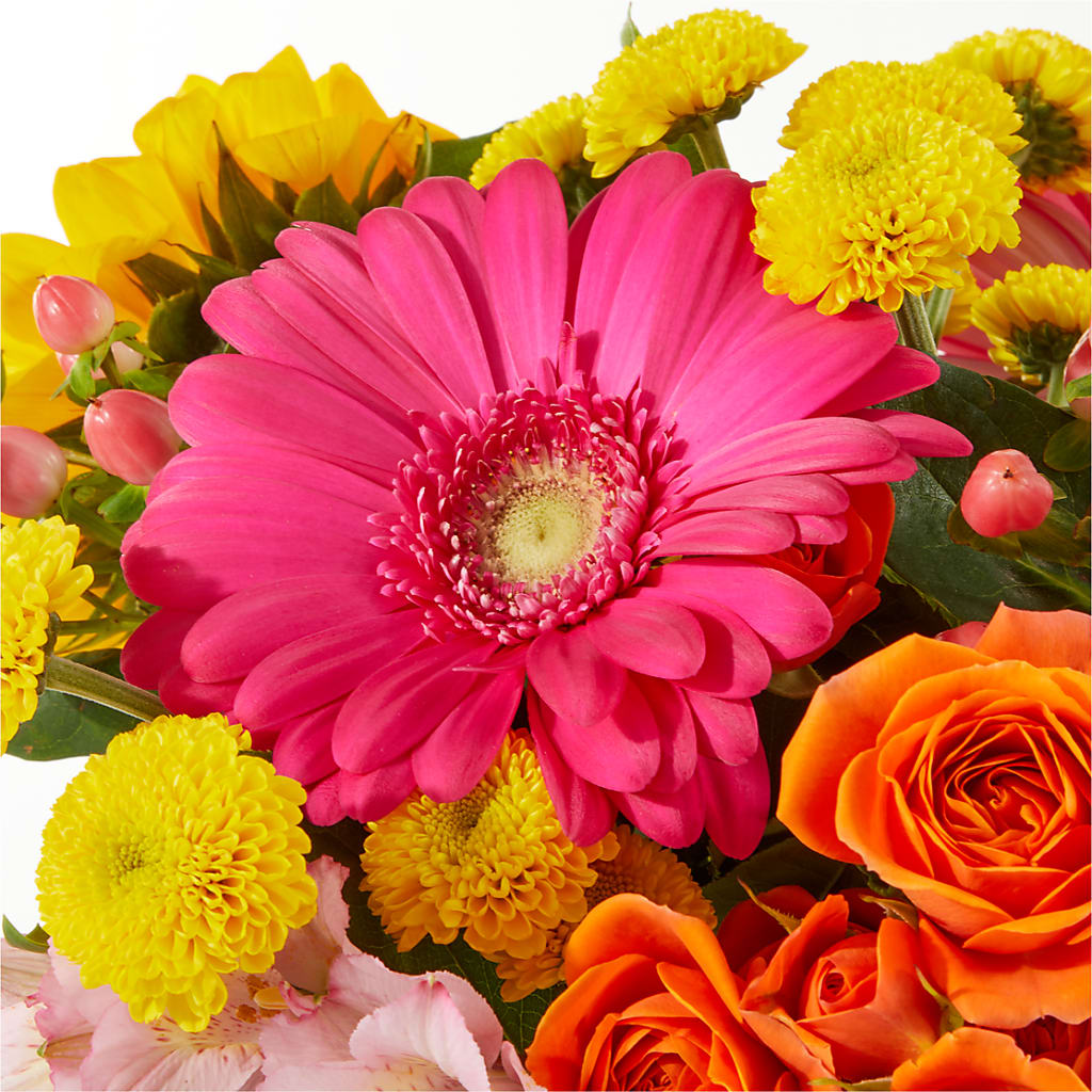 Beach Day Bouquet –  Day Dream Bokay Llc, Jonesborough TN