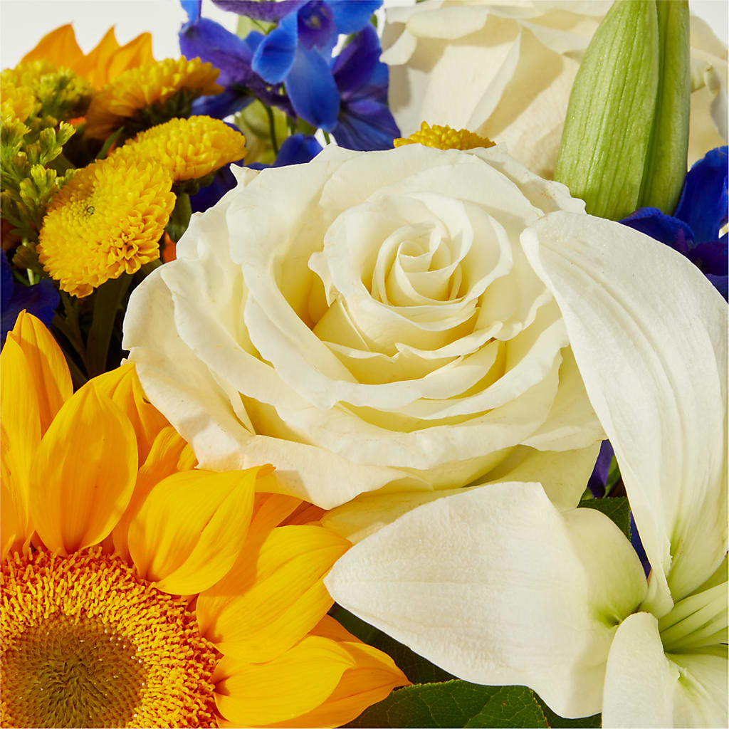 Stargazing Bouquet –  Day Dream Bokay Llc, Jonesborough TN
