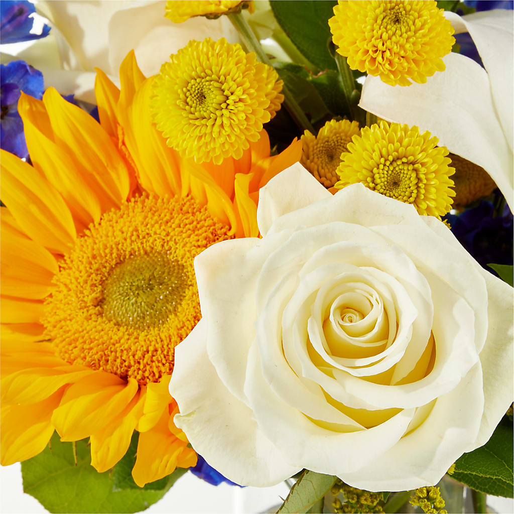 Stargazing Bouquet –  Day Dream Bokay Llc, Jonesborough TN