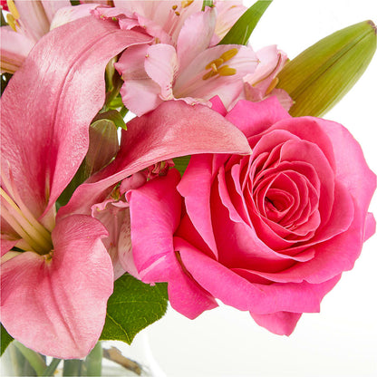 Lots of Love Bouquet –  Day Dream Bokay Llc, Jonesborough TN