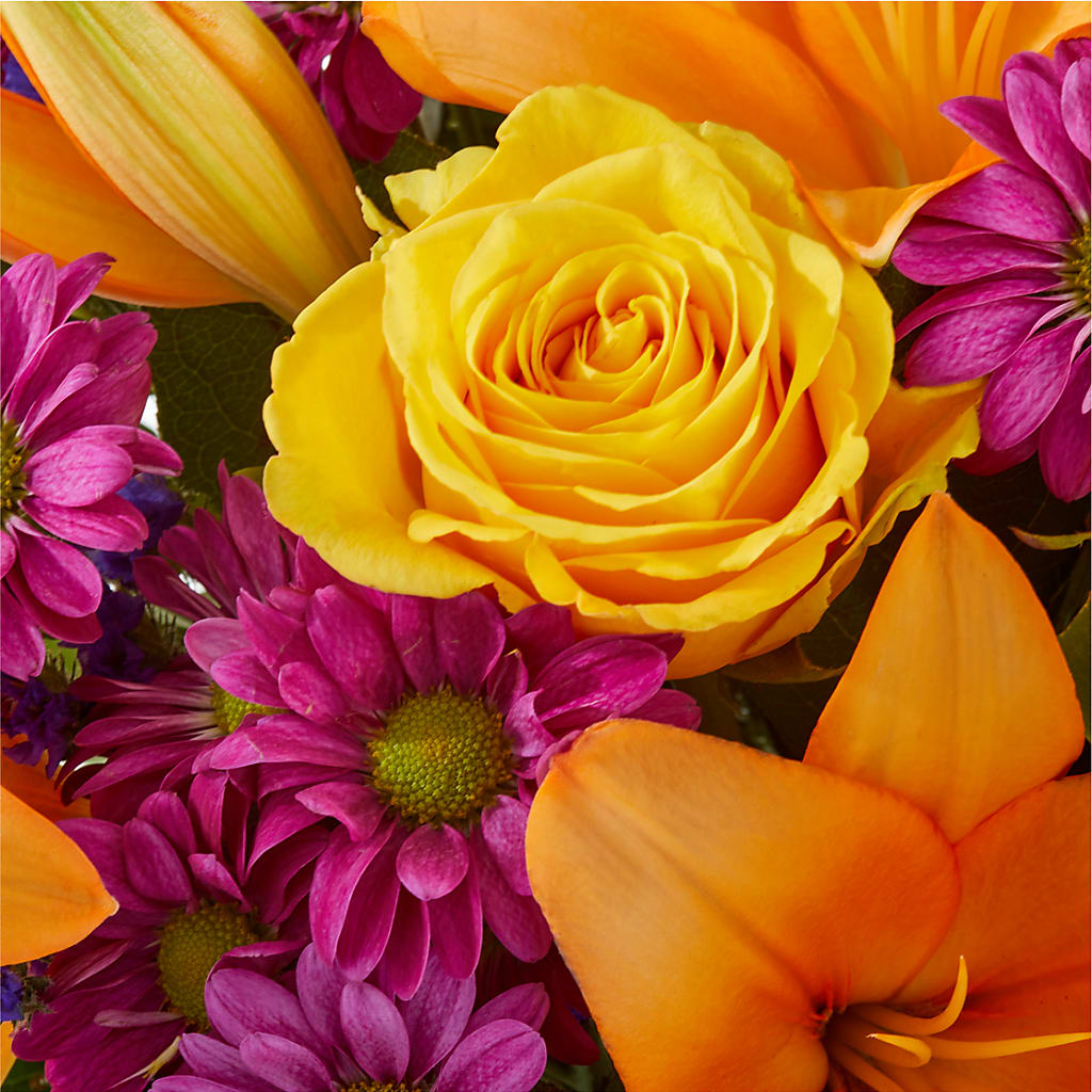 Colorful Visions Bouquet –  Day Dream Bokay Llc, Jonesborough TN