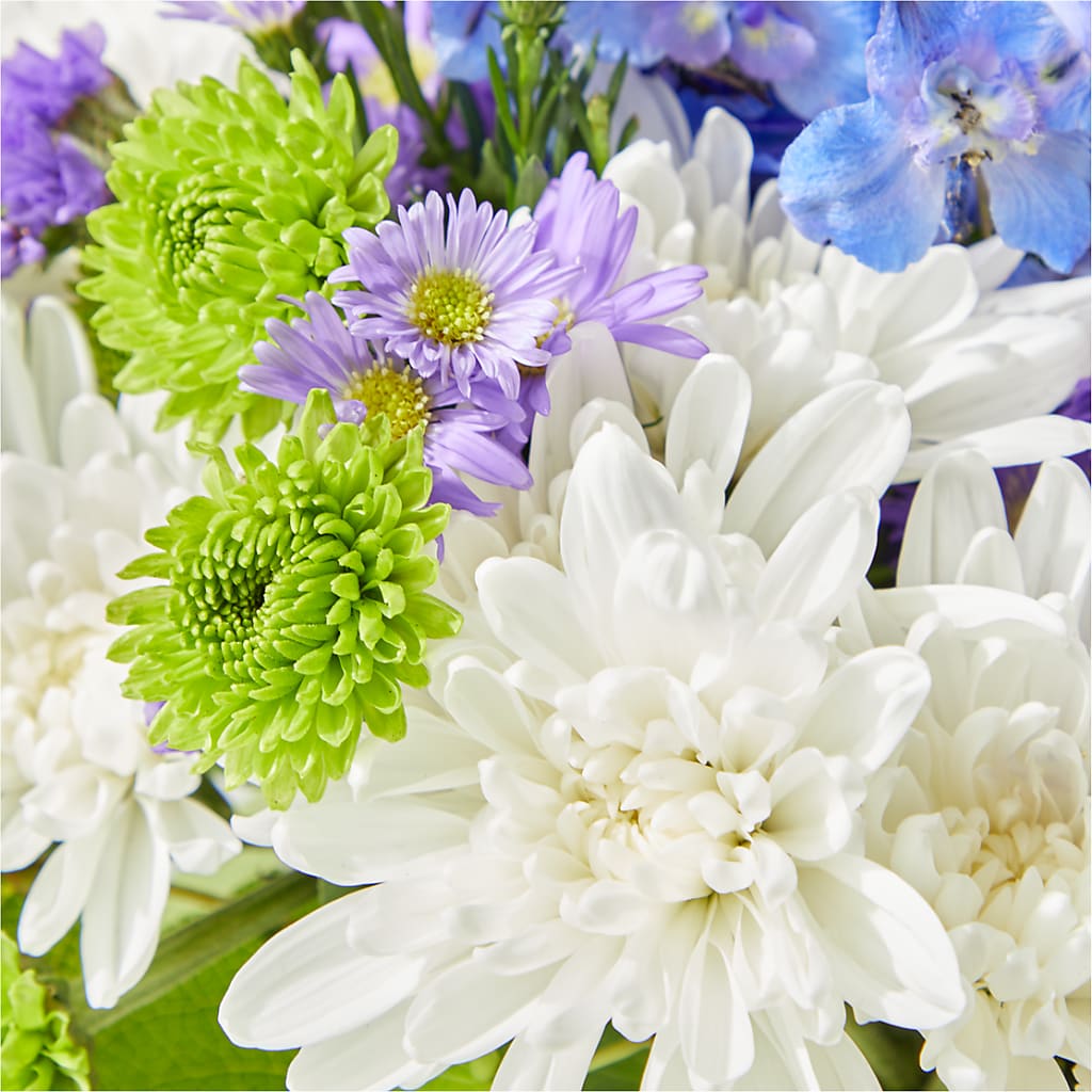 Genuine Gestures Bouquet –  Day Dream Bokay Llc, Jonesborough TN