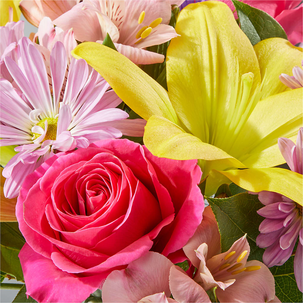 Sprinkles Bouquet –  Day Dream Bokay Llc, Jonesborough TN