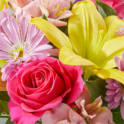 Sprinkles Bouquet –  Day Dream Bokay Llc, Jonesborough TN