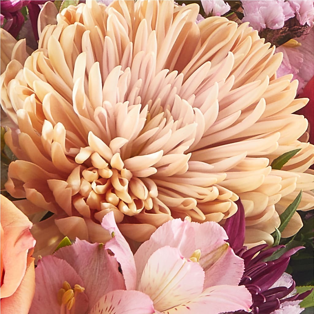 Berry Cobbler Bouquet –  Day Dream Bokay Llc, Jonesborough TN