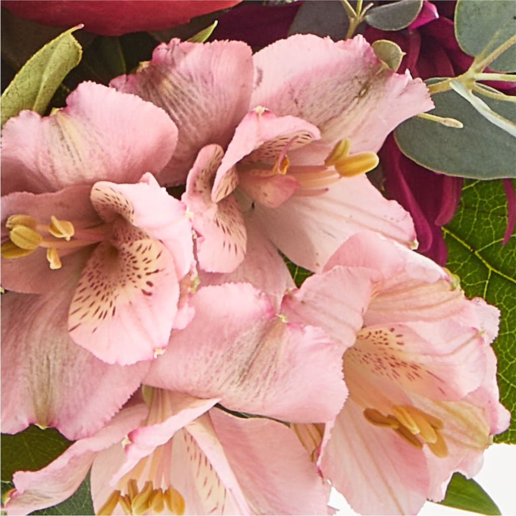 Berry Cobbler Bouquet –  Day Dream Bokay Llc, Jonesborough TN