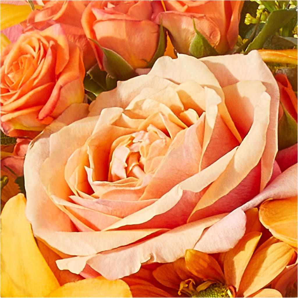 Harvest Hayride Bouquet –  Day Dream Bokay Llc, Jonesborough TN