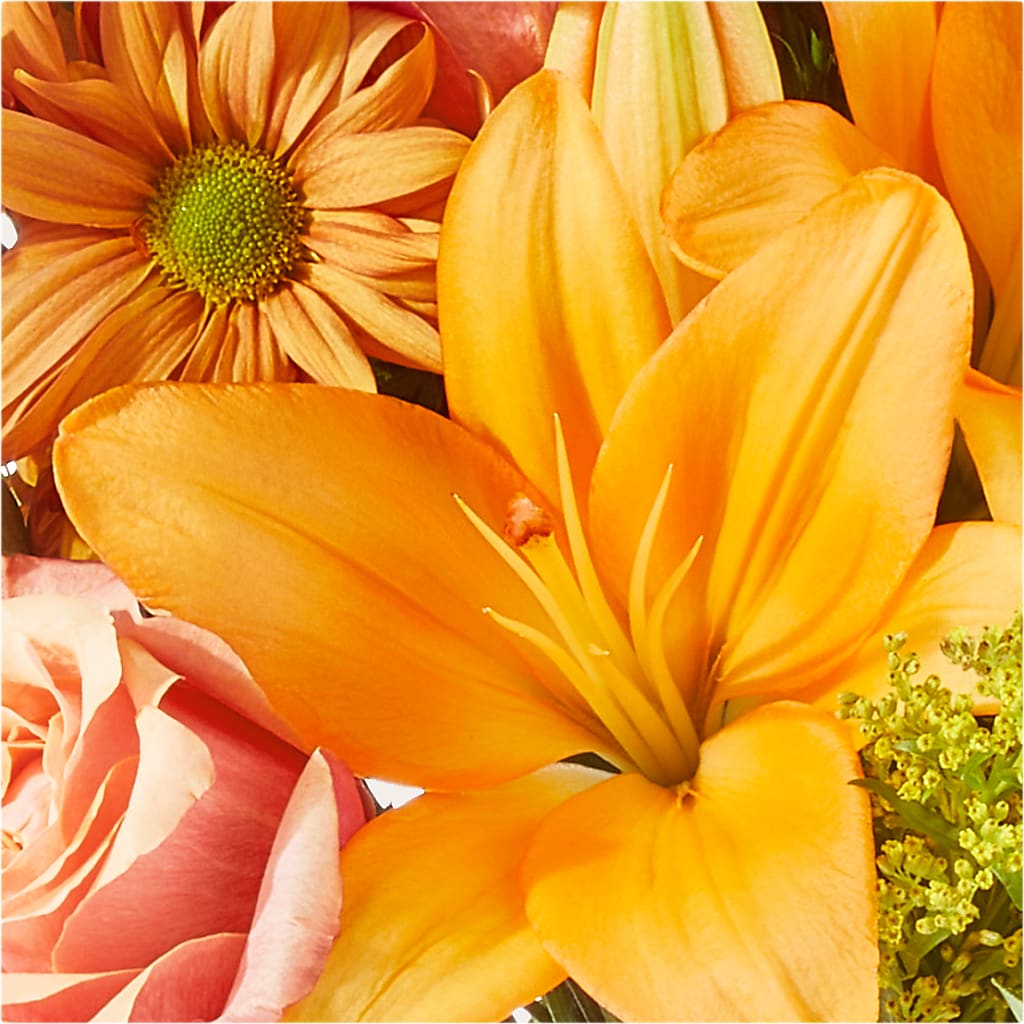 Harvest Hayride Bouquet –  Day Dream Bokay Llc, Jonesborough TN