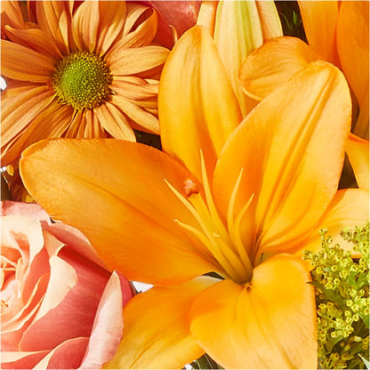 Harvest Hayride Bouquet –  Day Dream Bokay Llc, Jonesborough TN