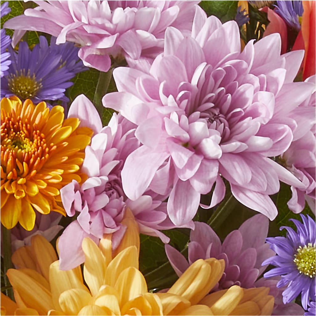 Countryside Bouquet –  Day Dream Bokay Llc, Jonesborough TN