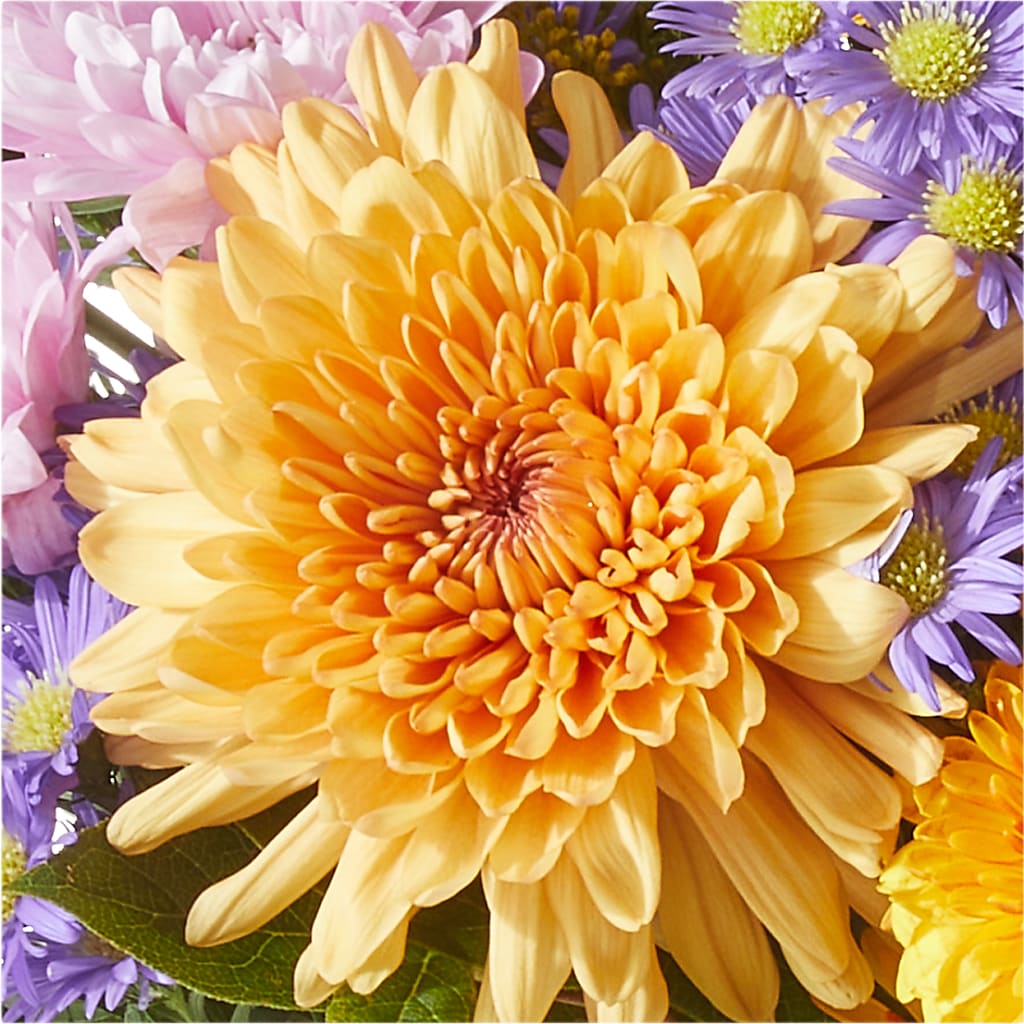 Countryside Bouquet –  Day Dream Bokay Llc, Jonesborough TN