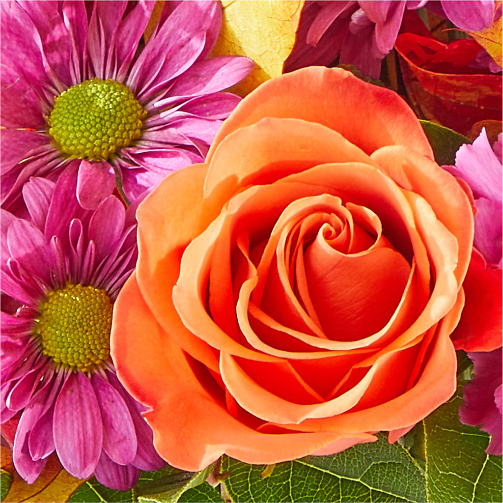 Mum's the Word Bouquet –  Day Dream Bokay Llc, Jonesborough TN