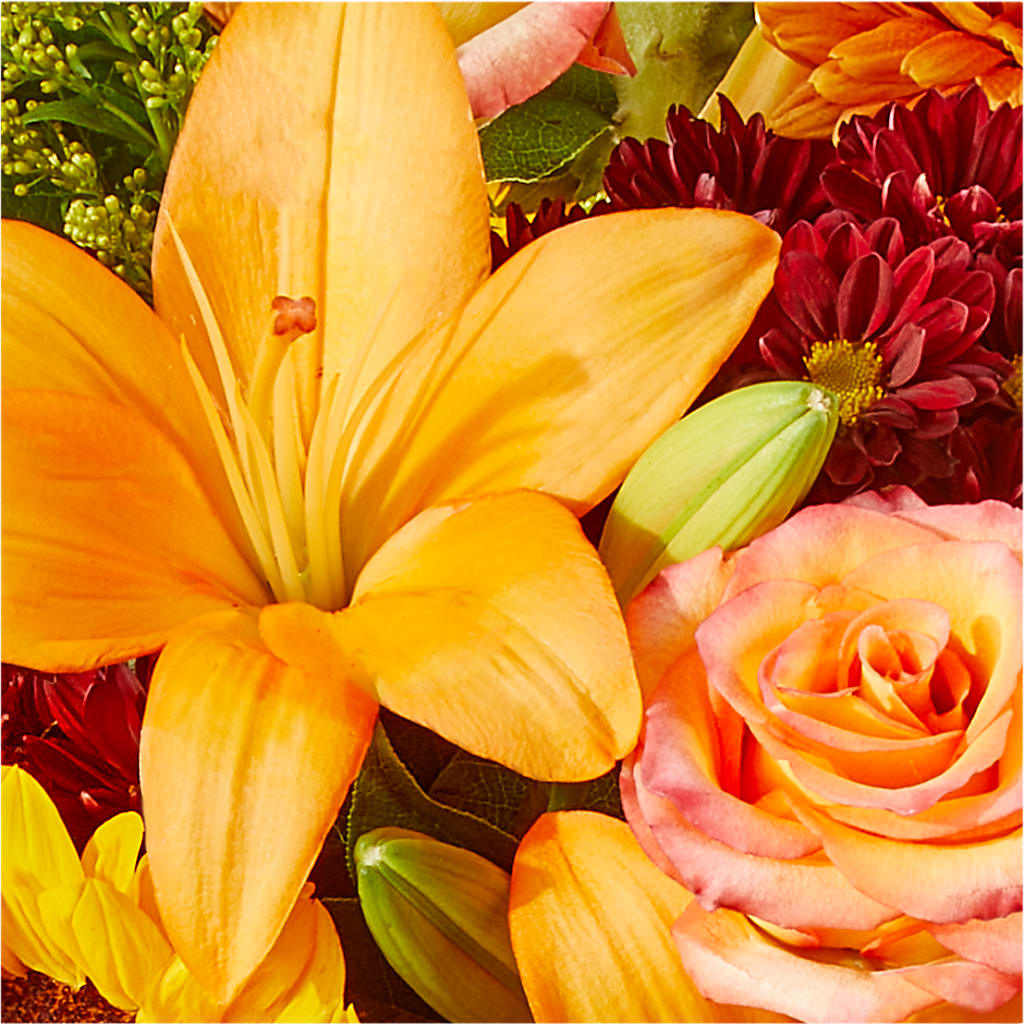 Seasons Change Bouquet –  Day Dream Bokay Llc, Jonesborough TN