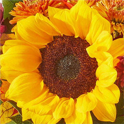 Sunny Side Bouquet –  Day Dream Bokay Llc, Jonesborough TN