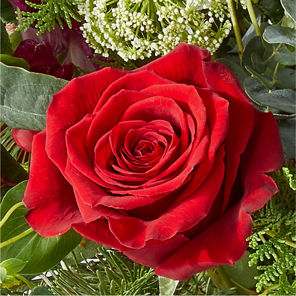Cranberry Fizz Bouquet –  Day Dream Bokay Llc, Jonesborough TN