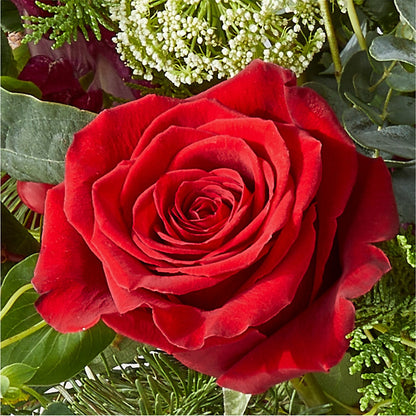 Cranberry Fizz Bouquet –  Day Dream Bokay Llc, Jonesborough TN
