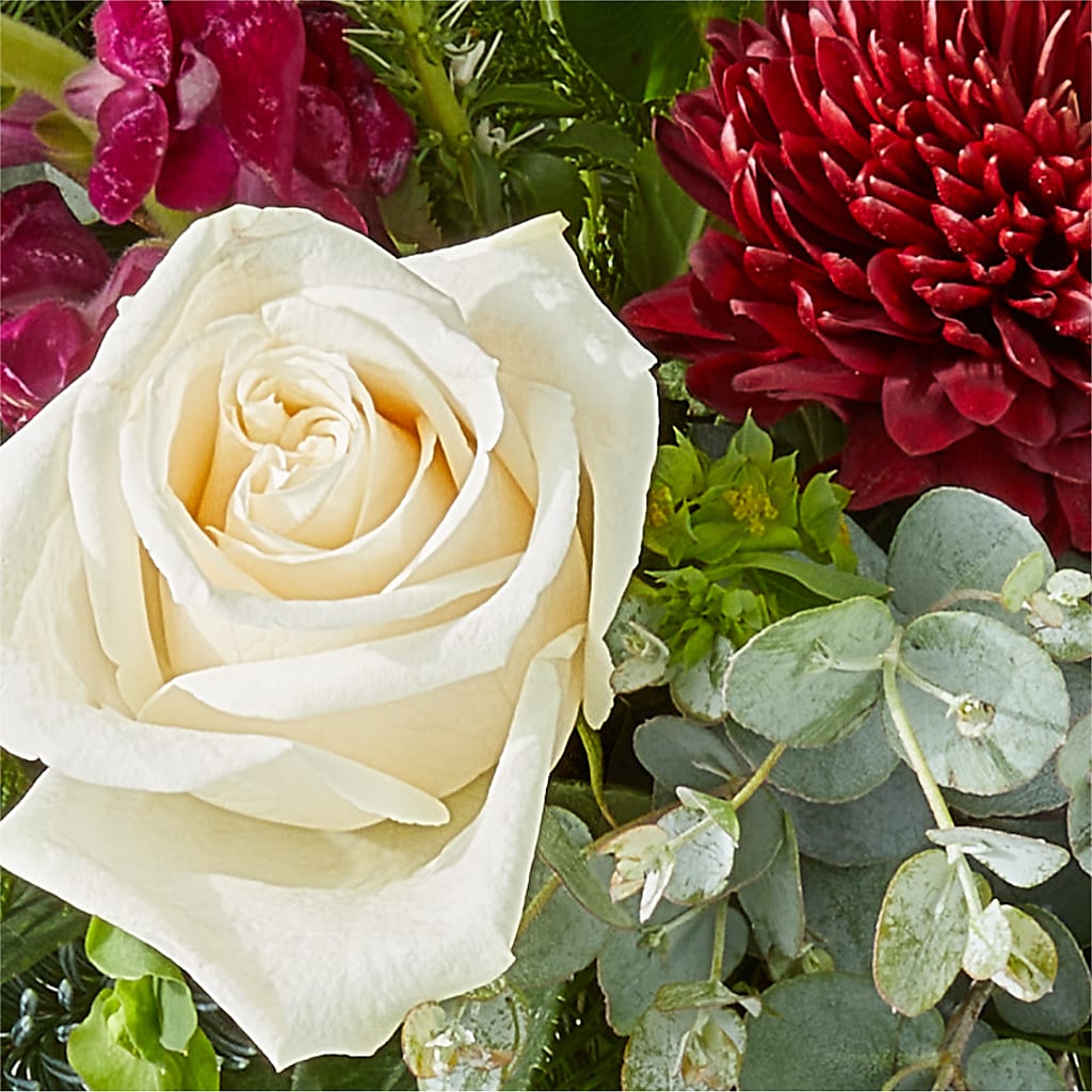 Cranberry Fizz Bouquet –  Day Dream Bokay Llc, Jonesborough TN