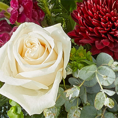 Cranberry Fizz Bouquet –  Day Dream Bokay Llc, Jonesborough TN