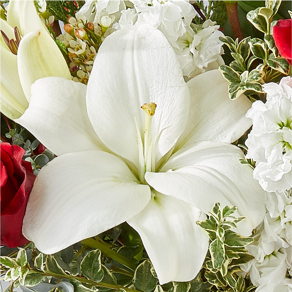 Twinkle Lights Bouquet –  Day Dream Bokay Llc, Jonesborough TN