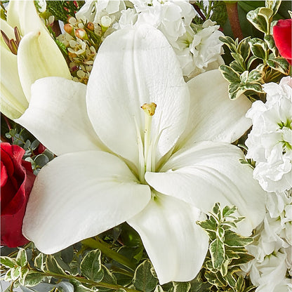 Twinkle Lights Bouquet –  Day Dream Bokay Llc, Jonesborough TN