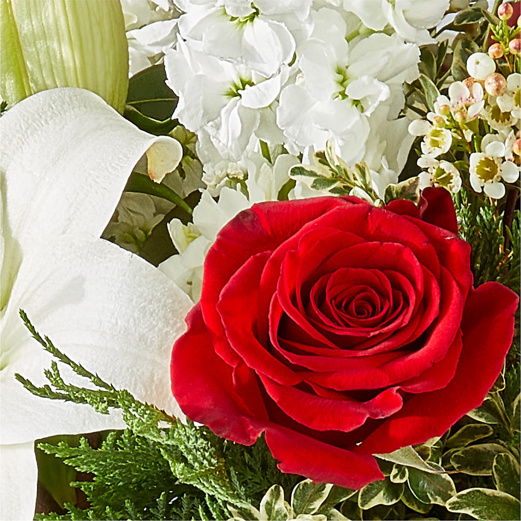 Twinkle Lights Bouquet –  Day Dream Bokay Llc, Jonesborough TN