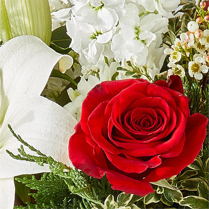 Twinkle Lights Bouquet –  Day Dream Bokay Llc, Jonesborough TN