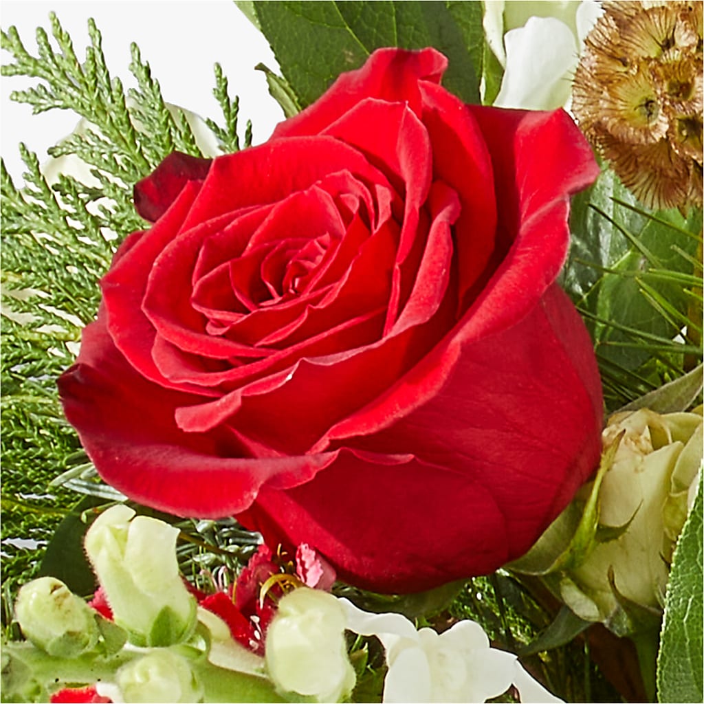 Deck the Halls Bouquet –  Day Dream Bokay Llc, Jonesborough TN