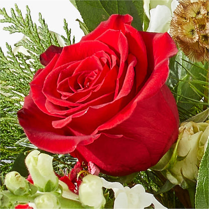 Deck the Halls Bouquet –  Day Dream Bokay Llc, Jonesborough TN