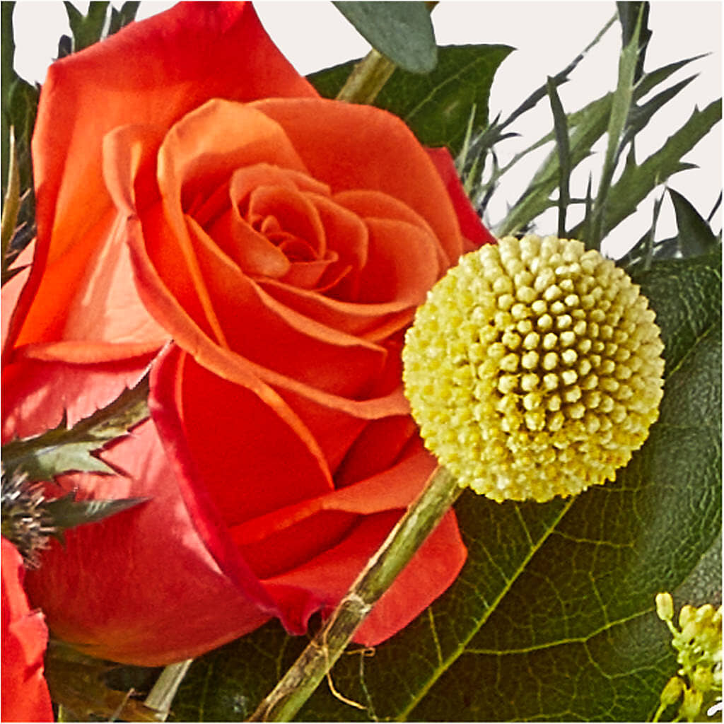 Disco Bouquet –  Day Dream Bokay Llc, Jonesborough TN