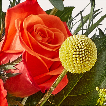 Disco Bouquet –  Day Dream Bokay Llc, Jonesborough TN