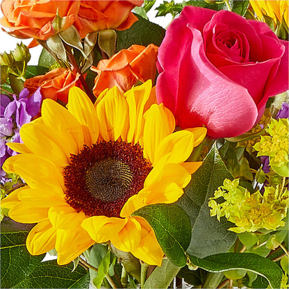 Vibrant Greetings Bouquet –  Day Dream Bokay Llc, Jonesborough TN