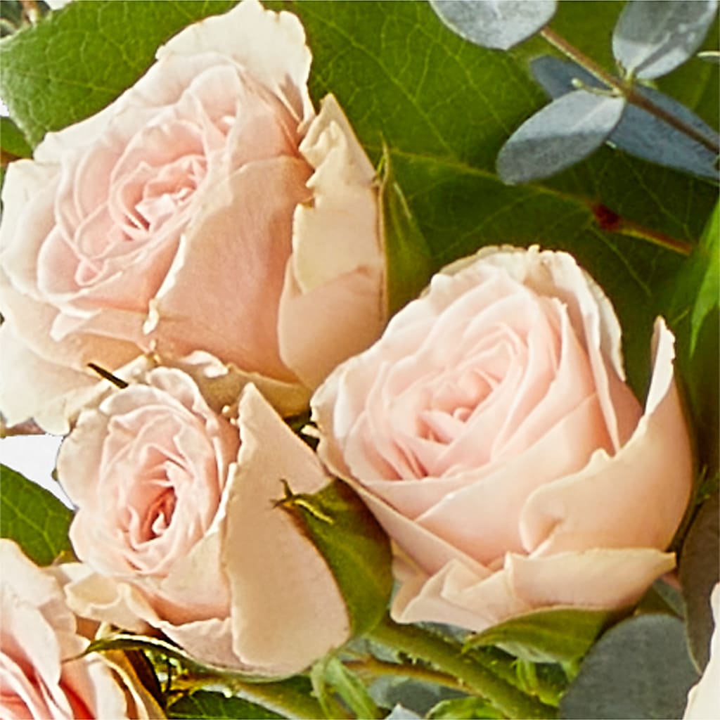 Inspired Bouquet –  Day Dream Bokay Llc, Jonesborough TN