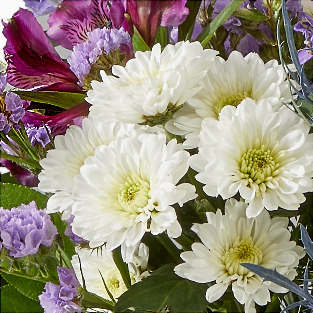 Shooting Star Bouquet –  Day Dream Bokay Llc, Jonesborough TN