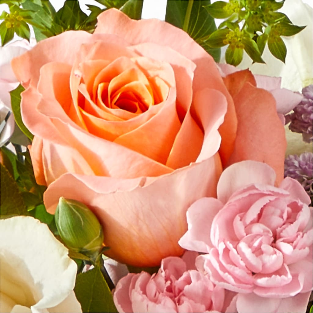 French Market Bouquet –  Day Dream Bokay Llc, Jonesborough TN