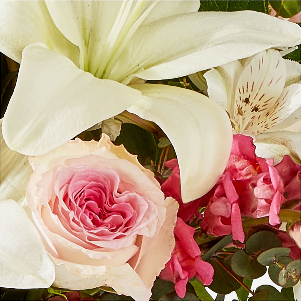 Ballet Slippers Bouquet –  Day Dream Bokay Llc, Jonesborough TN