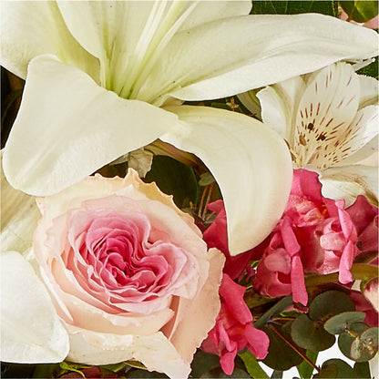 Ballet Slippers Bouquet –  Day Dream Bokay Llc, Jonesborough TN