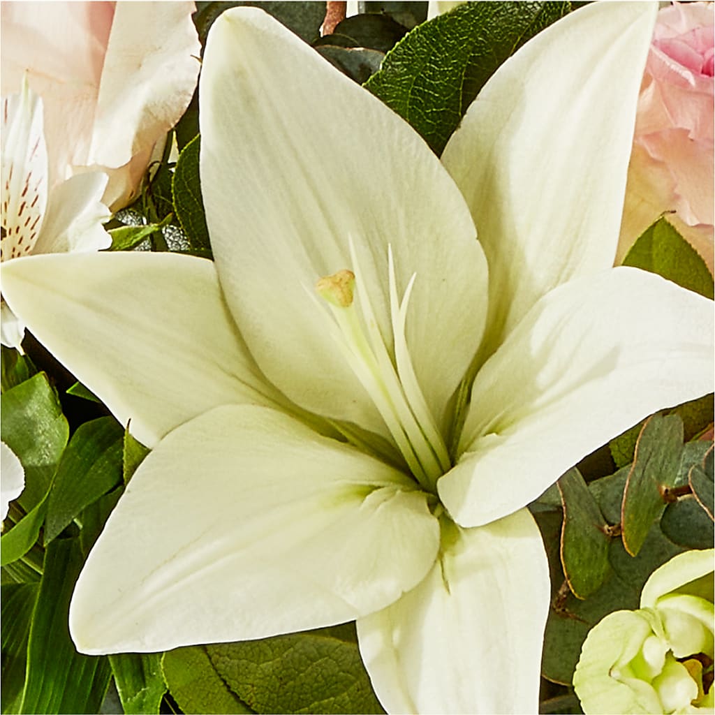 Ballet Slippers Bouquet –  Day Dream Bokay Llc, Jonesborough TN