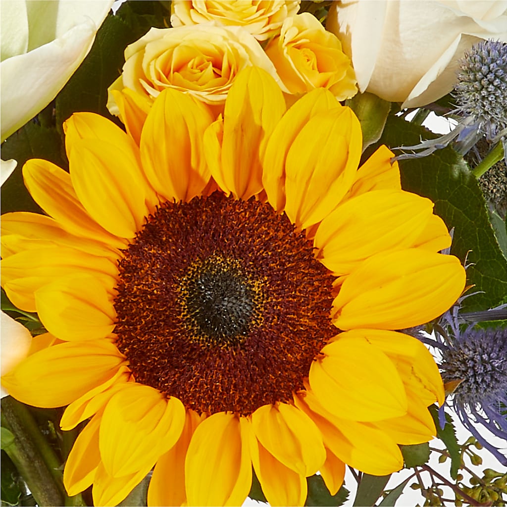 Wonderfully Sunny Bouquet –  Day Dream Bokay Llc, Jonesborough TN