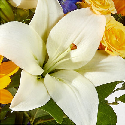 Wonderfully Sunny Bouquet –  Day Dream Bokay Llc, Jonesborough TN