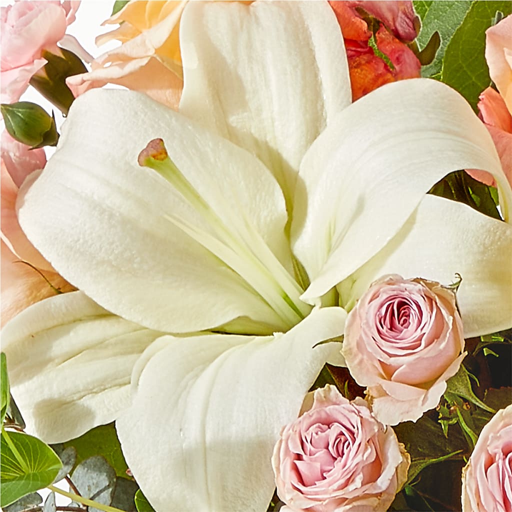 Grapefruit Splash Bouquet –  Day Dream Bokay Llc, Jonesborough TN