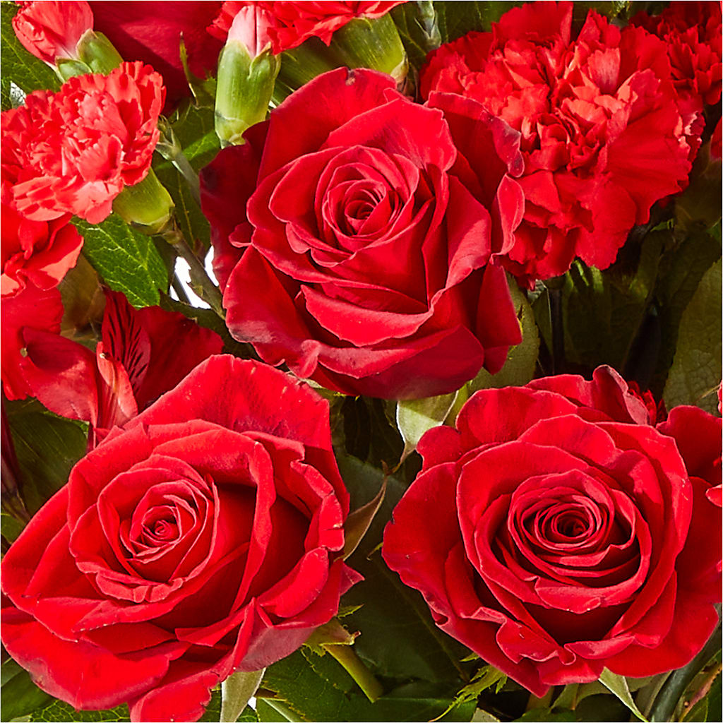 The Heartstrings Bouquet –  Day Dream Bokay Llc, Jonesborough TN