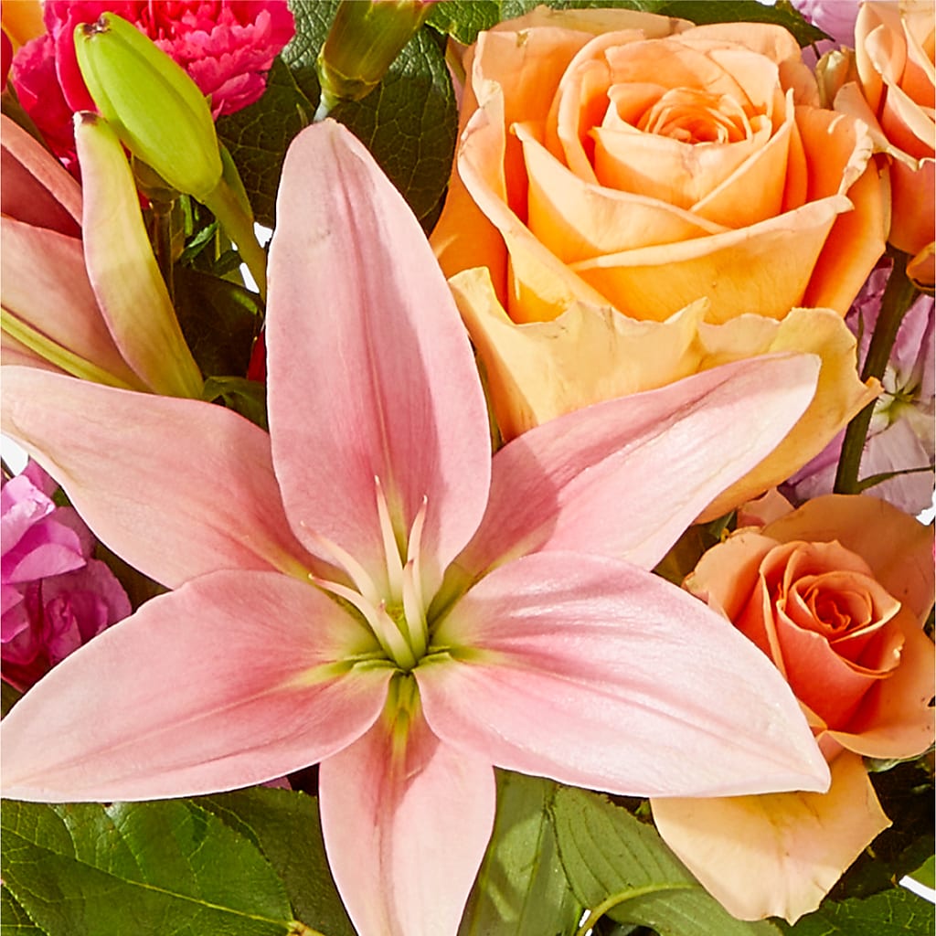 Bisous Bouquet –  Day Dream Bokay Llc, Jonesborough TN
