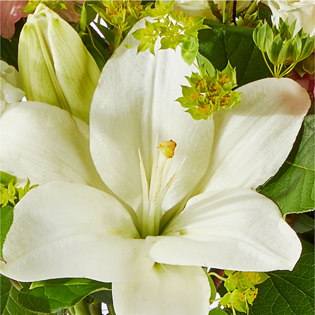 Fondly Bouquet –  Day Dream Bokay Llc, Jonesborough TN