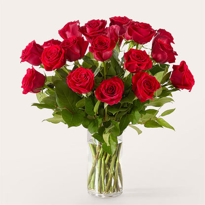 The One Red Rose Bouquet –  Day Dream Bokay Llc, Jonesborough TN