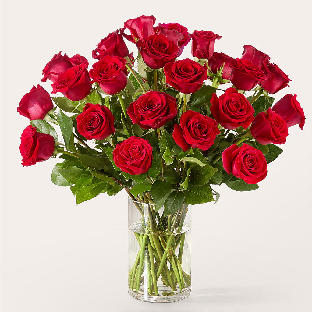 The One Red Rose Bouquet –  Day Dream Bokay Llc, Jonesborough TN
