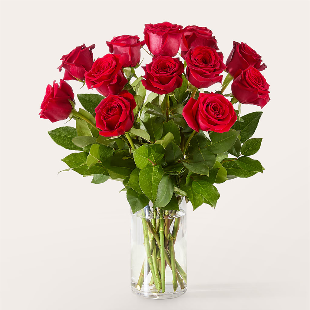 The One Red Rose Bouquet –  Day Dream Bokay Llc, Jonesborough TN