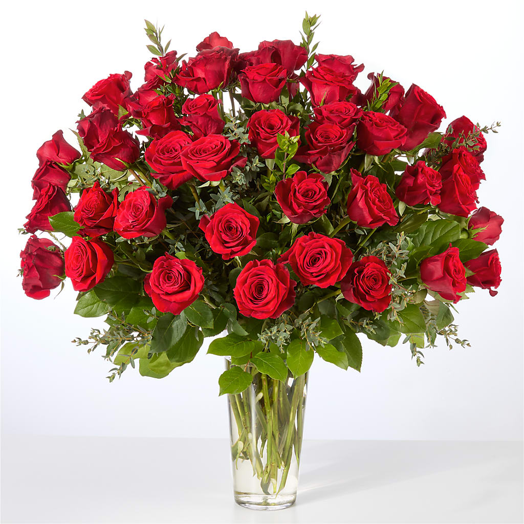 Forever Yours Fifty Stem Red Rose Bouquet –  Day Dream Bokay Llc, Jonesborough TN