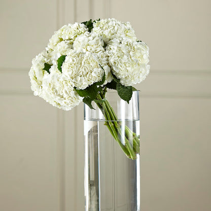 White Hydrangea Hand-Tied Bouquet –  Day Dream Bokay Llc, Jonesborough TN