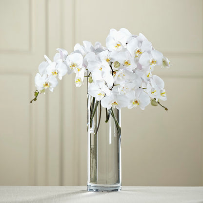 White Phalaenopsis Bouquet –  Day Dream Bokay Llc, Jonesborough TN